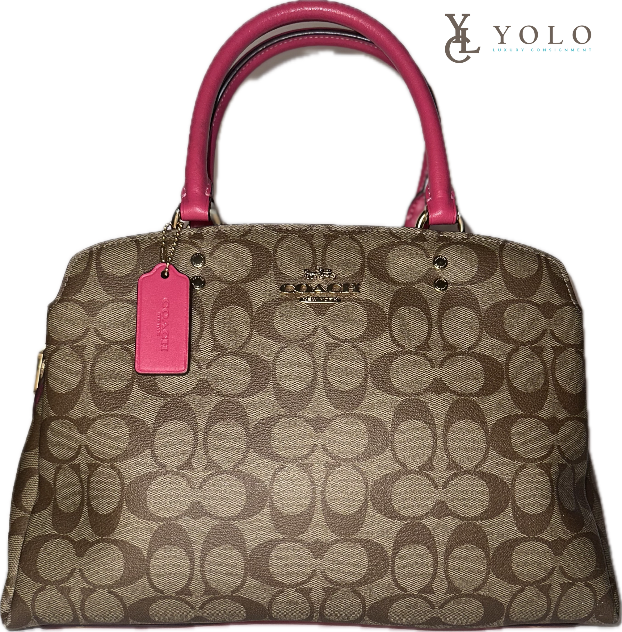 Coach Signature Lillie Carryall Tote