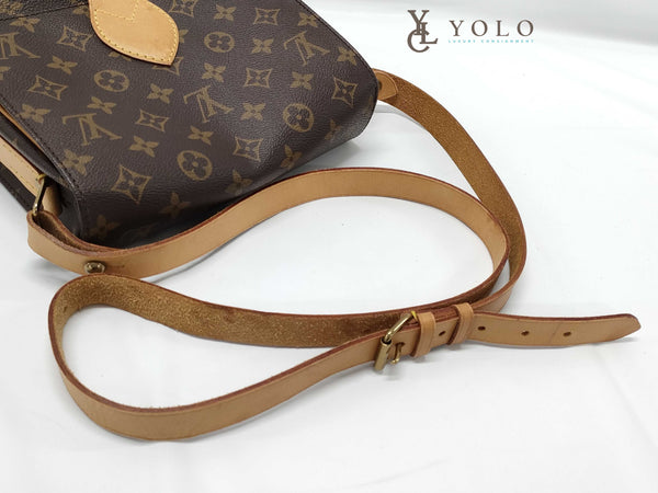 Louis Vuitton Monogram Cartouchiere PM Crossbody Bag