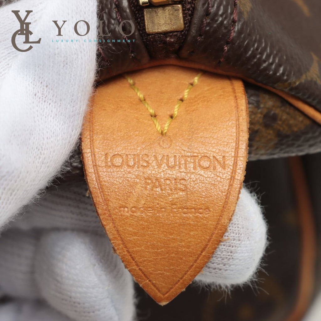 Louis Vuitton Vintage Canvas Monogram Speedy 40 Bag Satchel Brown Cloth  ref.852937 - Joli Closet