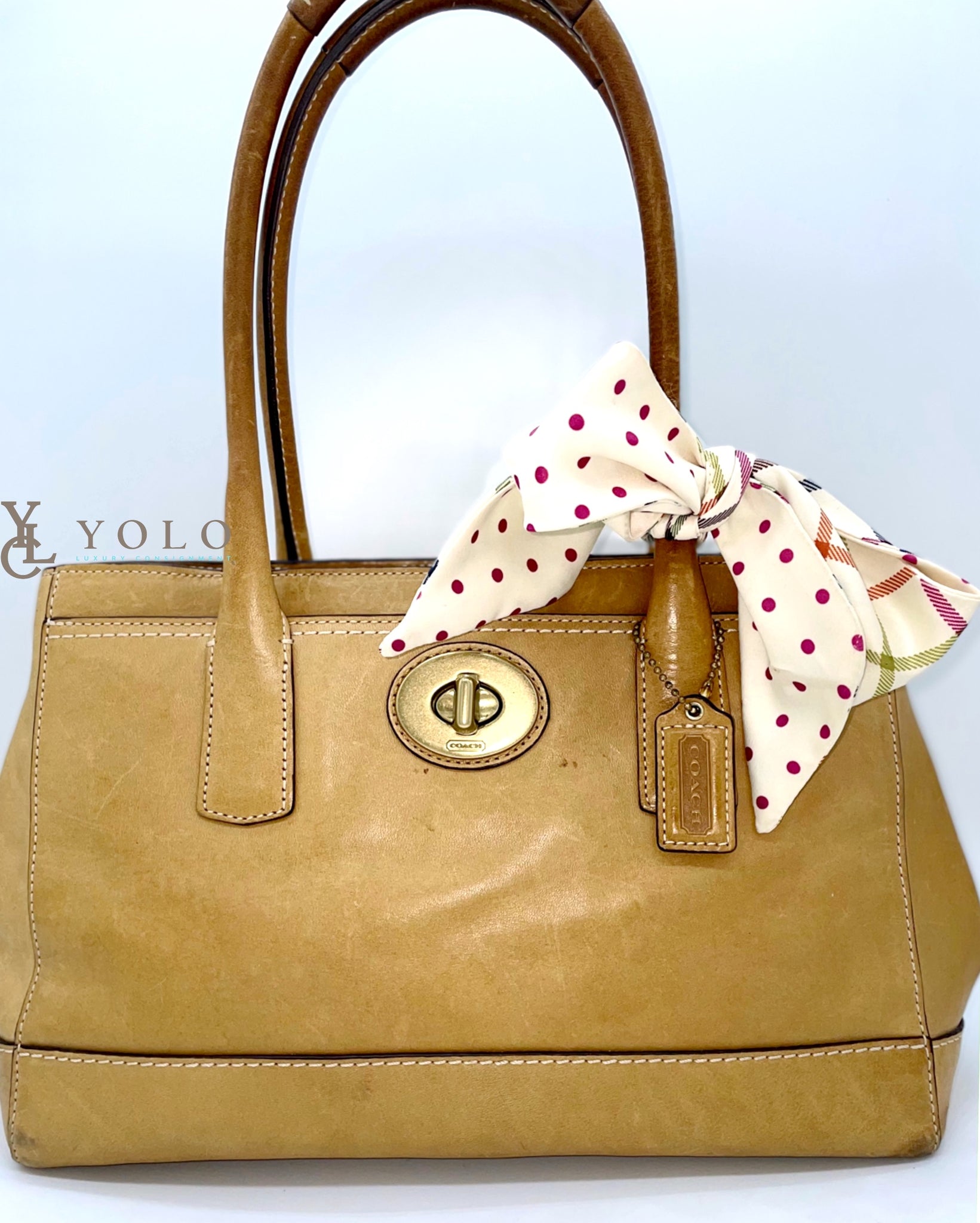 Coach Madeline Leather East West Tote